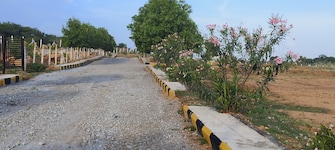 Plot For Resale in Shadnagar Hyderabad  7407682