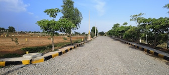 Plot For Resale in Shadnagar Hyderabad  7407682