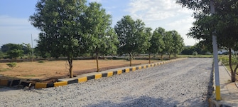 Plot For Resale in Shadnagar Hyderabad  7407682