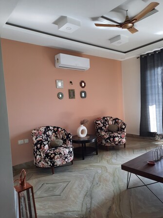 2 BHK Builder Floor For Rent in Ansal API Palam Corporate Plaza Sector 3 Gurgaon  7407939