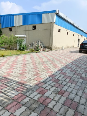 Commercial Warehouse 3300 Sq.Ft. For Rent in Saini Colony Panipat  7408009