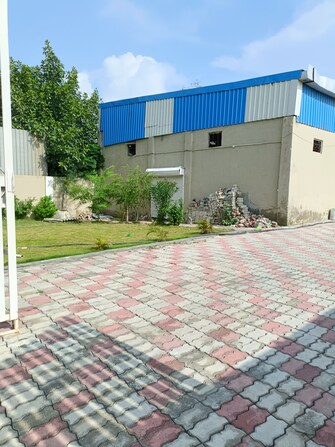 Commercial Warehouse 3300 Sq.Ft. For Rent in Saini Colony Panipat  7408009