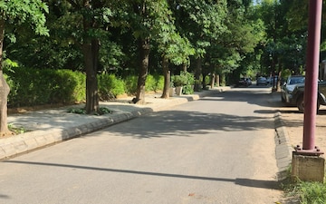 Plot For Sale in Dlf Phase I