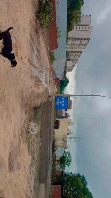  Plot For Sale in Bhondsi