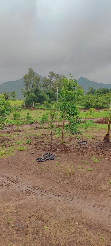 Plot Area in  Plot at Trimbak Road – for Sale