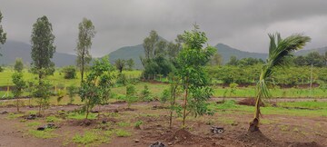Plot Area in  Plot at Trimbak Road – for Sale