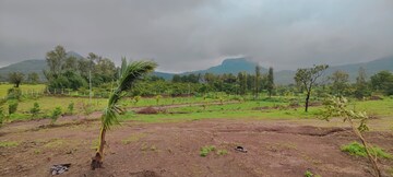 Plot Area in  Plot at Trimbak Road – for Sale