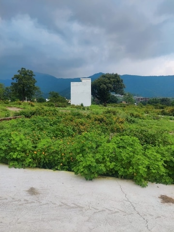  Plot – Exterior View View at Kulhan - for Sale