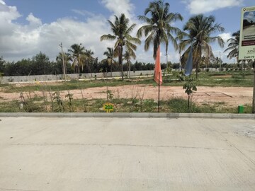  Plot For Sale in Bagaluru 