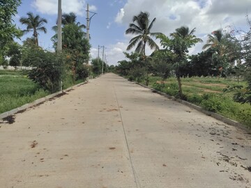 Plot Area in  Plot at Bagaluru  – for Sale