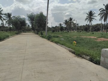 Plot Area in  Plot at Bagaluru  – for Sale