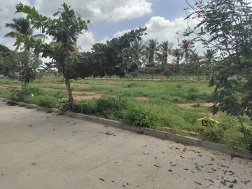 Plot Area in  Plot at Bagaluru  – for Sale