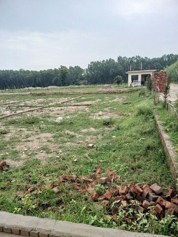 Plot Area in  Plot at Gms Road – for Sale
