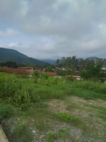 Plot Area in  Plot at Raipur Road – for Sale