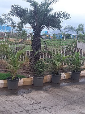  Plot – Exterior View View at The Riyasat Sankalp, Lodhivali - for Sale