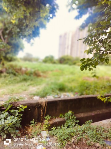  Plot – Garden View at Chi V Greater Noida - for Sale