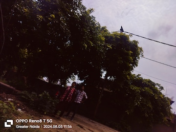  Plot – Garden View at Chi V Greater Noida - for Sale