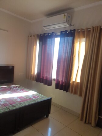 2.5 BHK Builder Floor For Rent in Sector 80 SAS Nagar  7411136