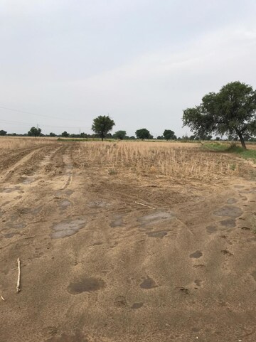 Plot Area in  Plot at Sultanpur – for Sale