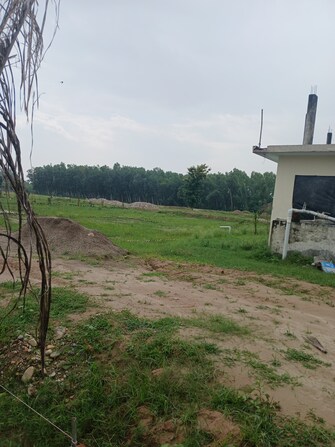 Plot For Resale in Birpur Cantonment Dehradun  7411552