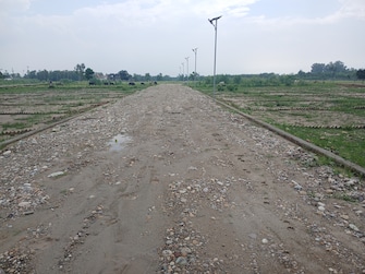 Plot For Resale in Birpur Cantonment Dehradun  7411552