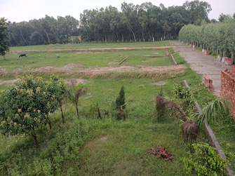 Plot For Resale in Birpur Cantonment Dehradun  7411552