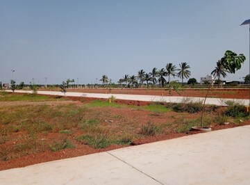 Plot Area in  Plot at Pudukkottai nh – for Sale