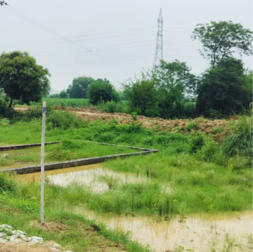 Plot Area in  Plot at Rohta Road – for Sale