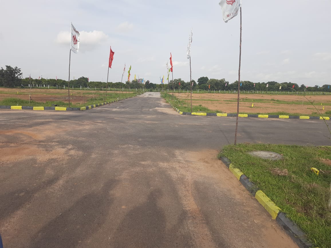 Plot For Resale in Shadnagar Hyderabad  7411835