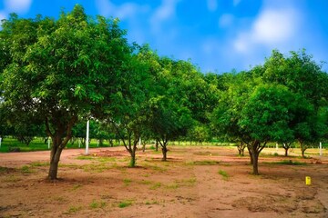 Plot Area in  Plot at JSR Suncity Opal, Yadagirigutta – for Sale