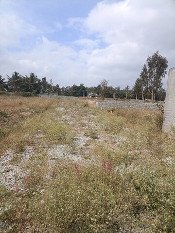 Plot Area in  Plot at Eagle Ridge, Begur – for Sale