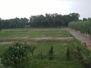 Plot Area in  Land at Dhaulas  – for Sale
