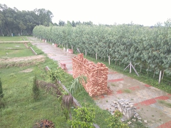 Commercial Land 150 Sq.Yd. For Resale in Dhaulas  Dehradun  7412775