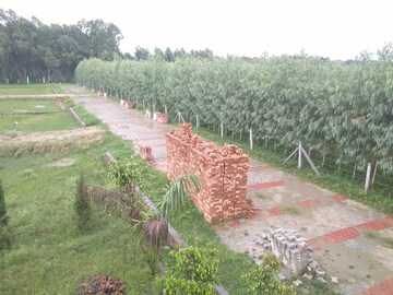  Land – Garden View at Dhaulas  - for Sale