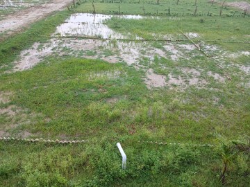 Plot Area in  Plot at Sunderwala – for Sale