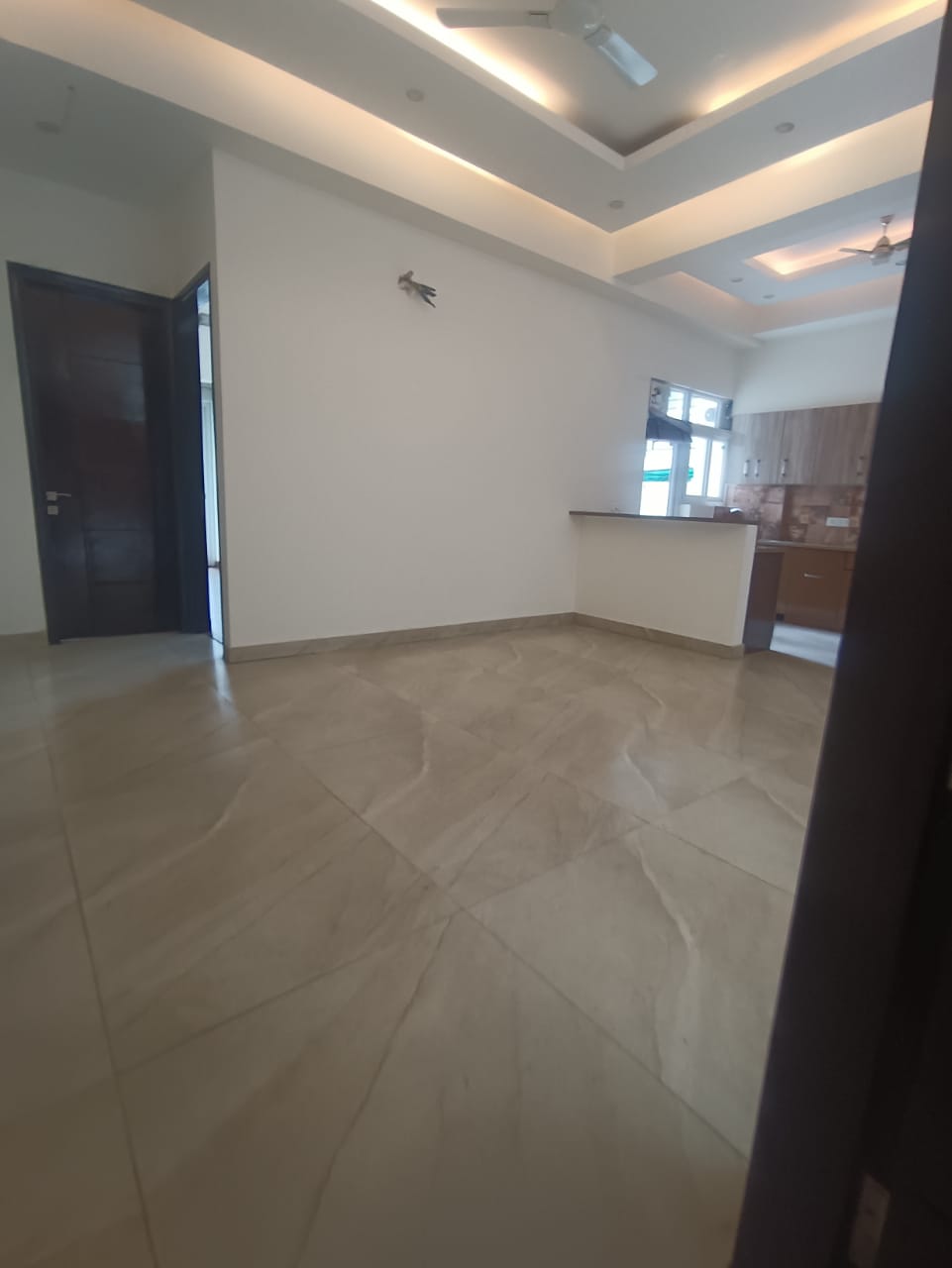 1 BHK Builder Floor For Rent in Adchini Delhi  7412811