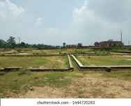 Plot For Resale in Paliya Haider Indore  7412817