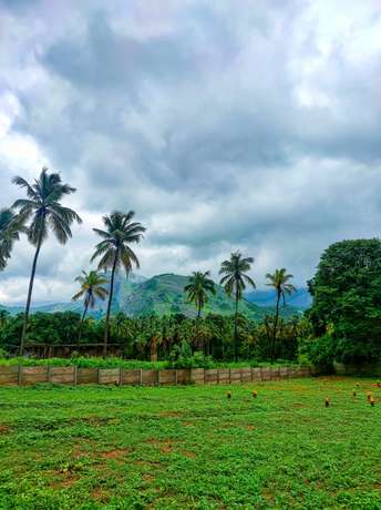 रेसिडेंशियल प्लॉट वर्ग यार्ड फॉर रीसेल इन कल्लेक्कुलंगरा पलक्कड  7413040