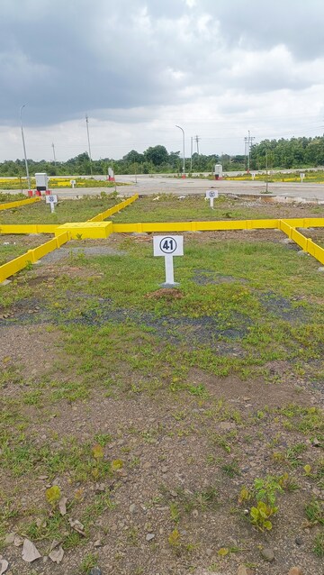  Plot For Sale in Pipla