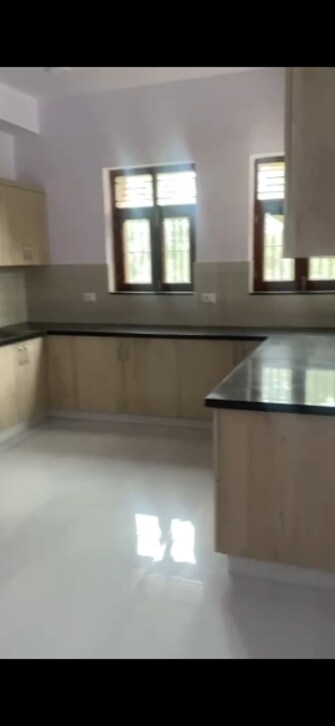 3.5 BHK Builder Floor For Rent in Sector 52 Noida  7413166