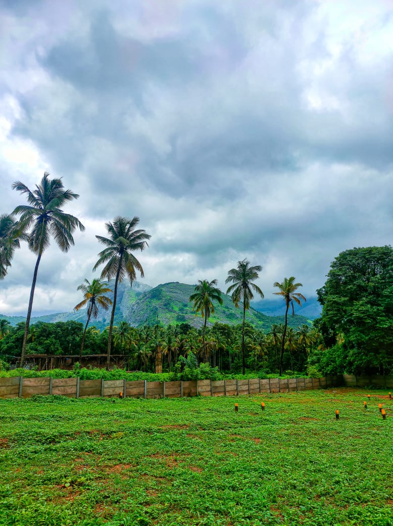 Plot For Resale in Olavakode Palakkad  7413753