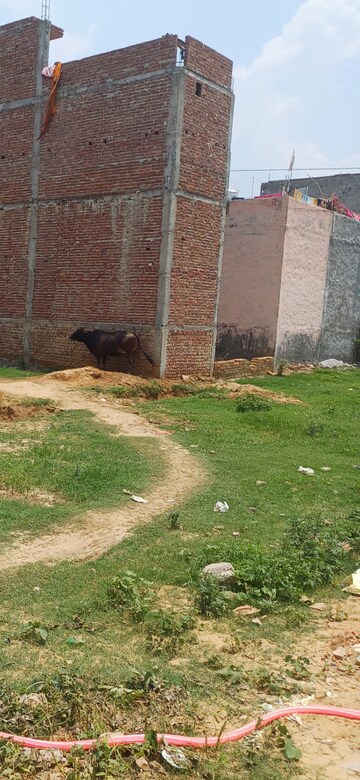 Plot Area in  Plot at Tilpat – for Sale