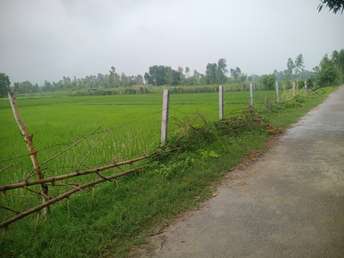 Commercial Land 10 Acre For Resale in Raipur Rae Bareli  7414978