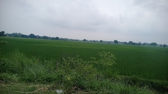 Commercial Land 16 Acre For Resale in Raipur Rae Bareli  7414989