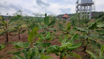  Plot For Sale in Kamkole