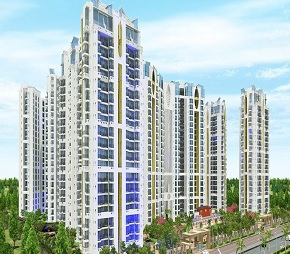 2 BHK Apartment For Rent in Sikka Kaamna Greens Sector 143a Noida Noida  7415274