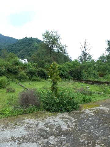 Plot Area in  Plot at Sahastradhara Road – for Sale