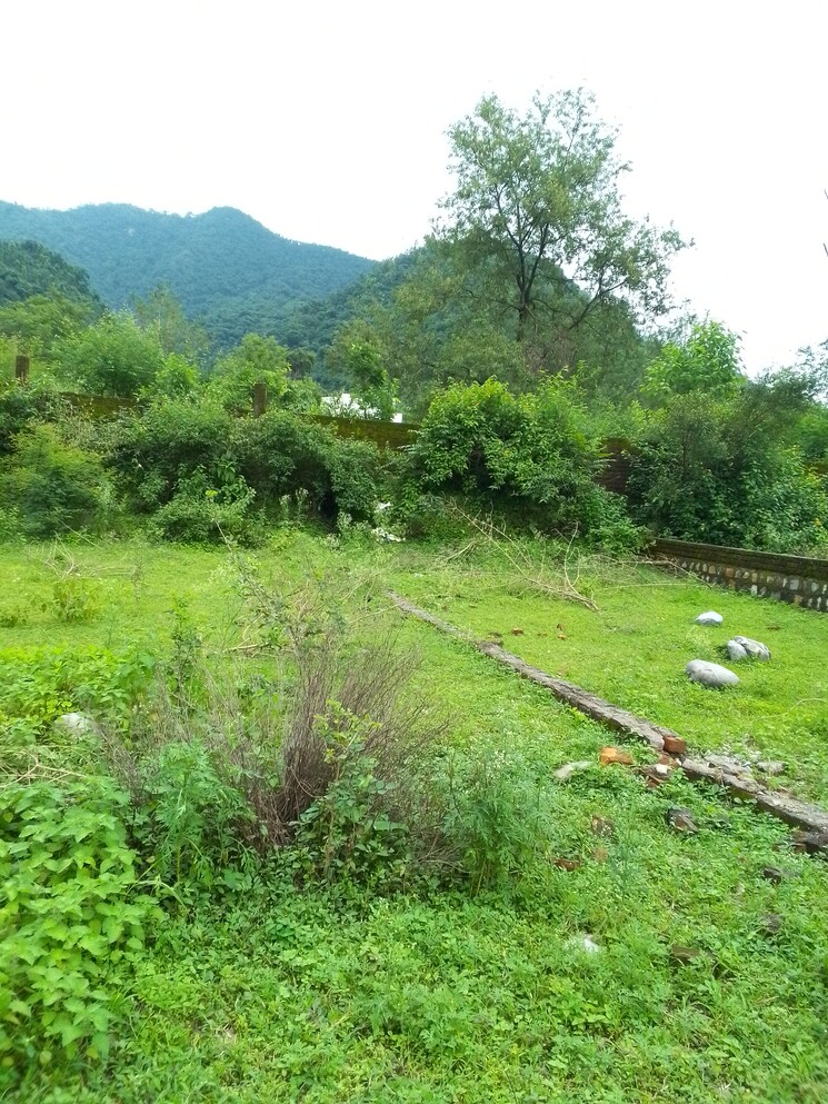 Garden, sahastradhara road  250 Sq.Yd. Plot In Sahastradhara Road Dehradun 7415301