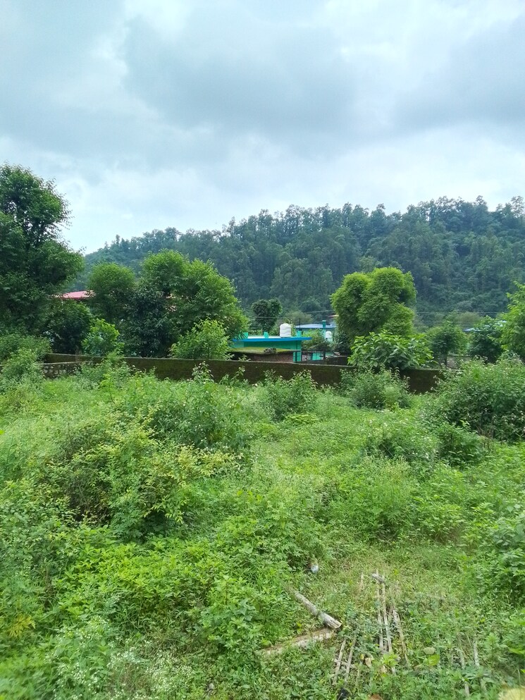 Garden, sahastradhara road  250 Sq.Yd. Plot In Sahastradhara Road Dehradun 7415301