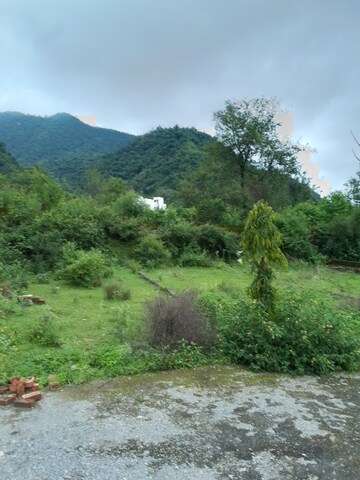  Plot – Garden View at Sahastradhara Road - for Sale